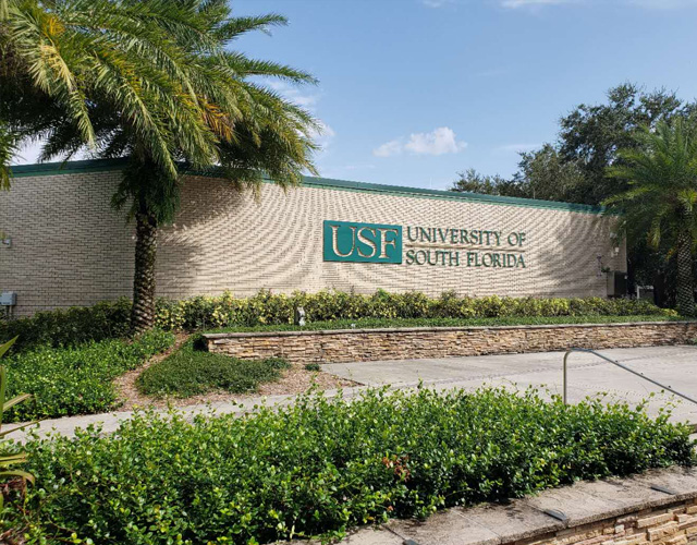 南佛罗里达大学